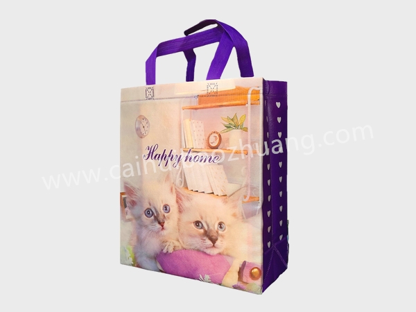 彩匯包裝 外貿無紡布手提袋  外貿手提禮品袋